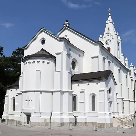 Pazelt Top2 * Bad Voeslau