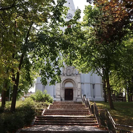 Apartment Pazelt Top2 Bad Voeslau