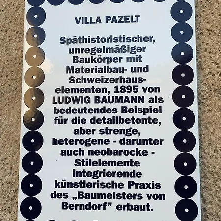 Pazelt Top2