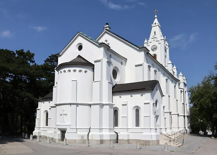 Pazelt Top2 * Bad Voeslau