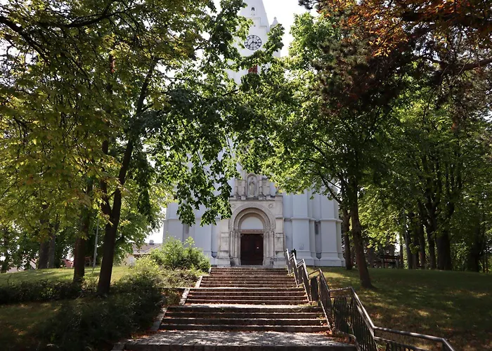 Appartement Pazelt Top2 Bad Voeslau